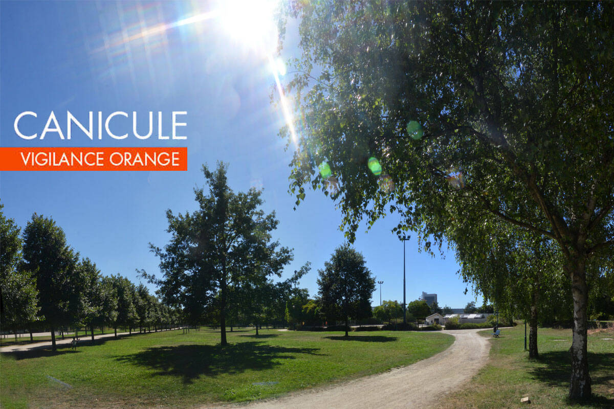  alerte-orange_canicule-txt.jpg