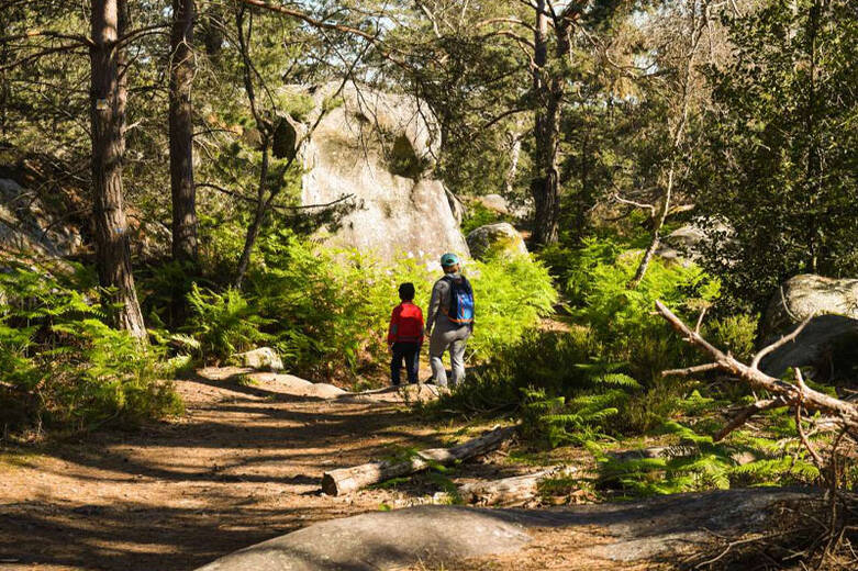  sortie_foret-fontainebleau.jpg