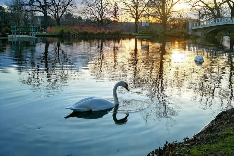  parc-des-ibis.jpg