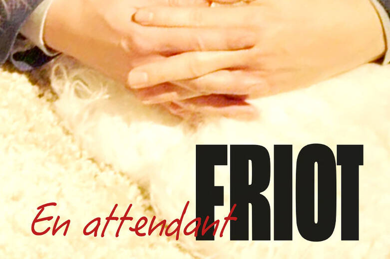  en-attendant-friot.jpg