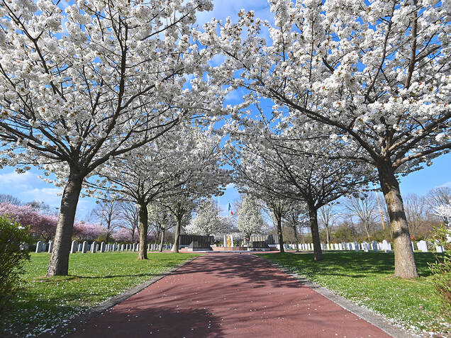 Cimetière Photo du cimetière