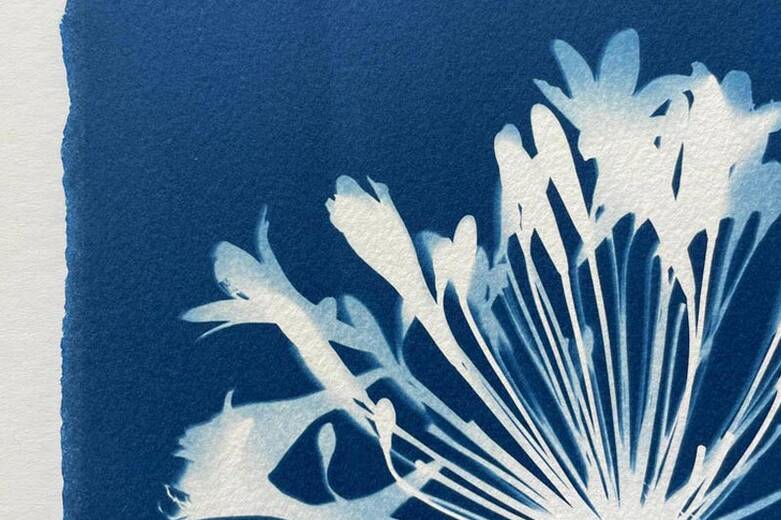 cyanotypes-floraux.jpg