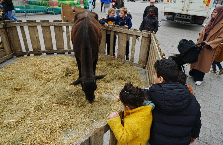 Ferme en ville